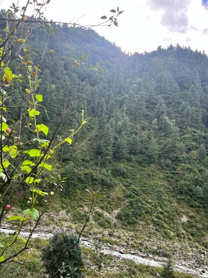 Survival In Forest, Tirthan Valley Bandal 外观 照片